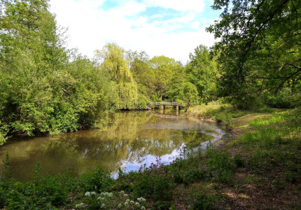 Kanaalpark draagt bij aan meer biodiversiteit