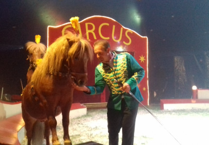 Laatste shows circus